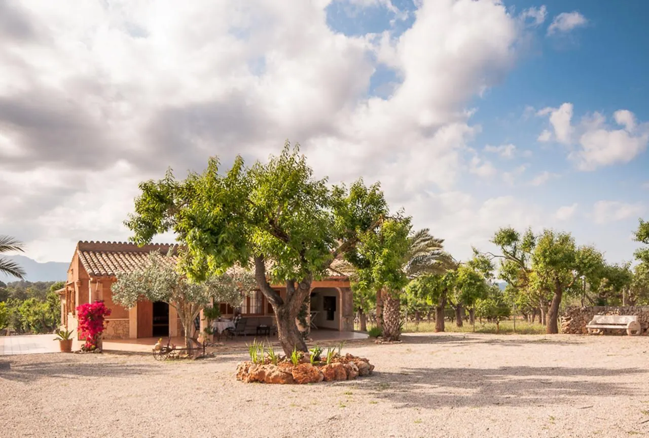 Villa Son Morro Santa Margalida