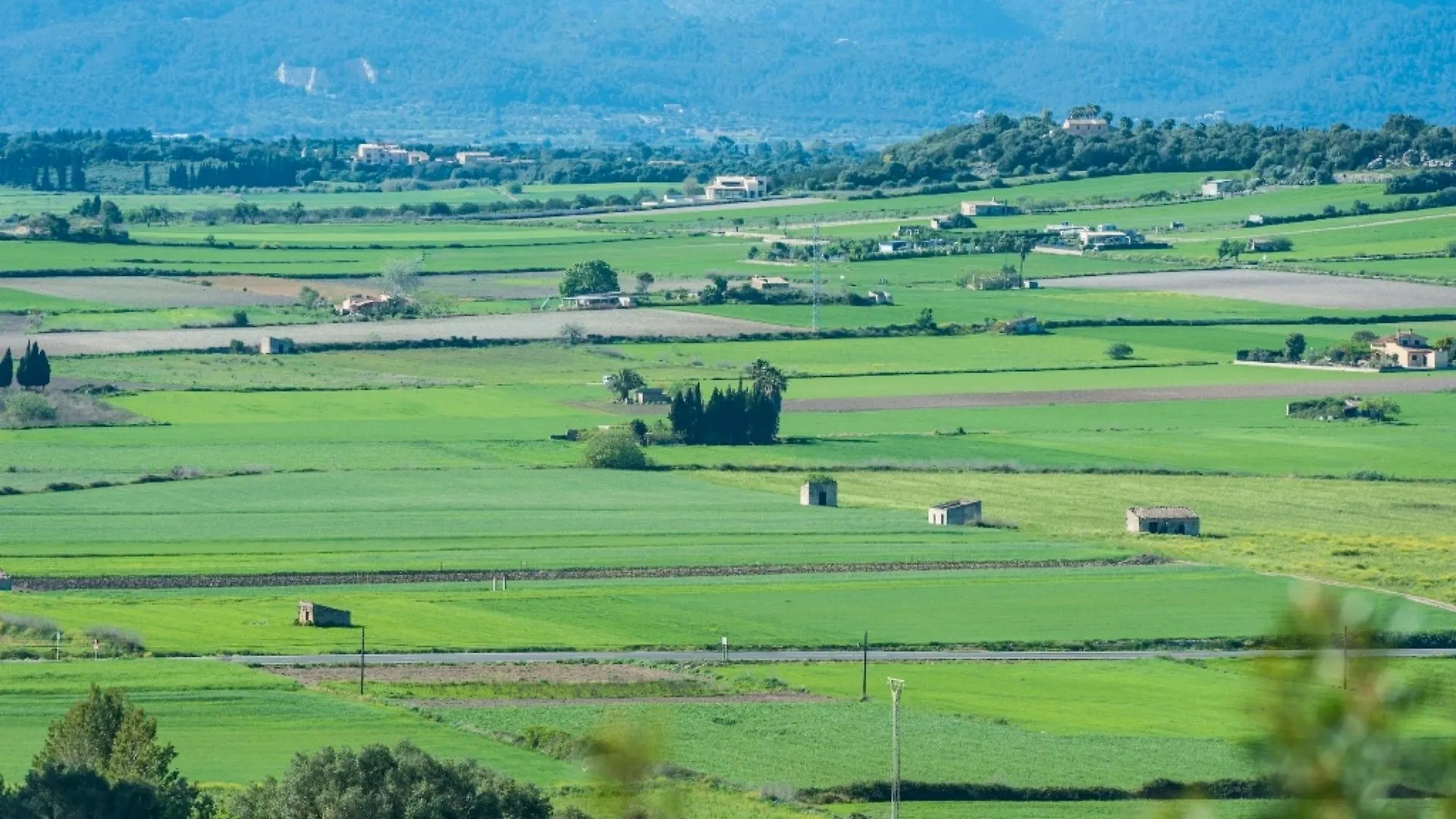 Villa Son Morro Santa Margalida Spagna
